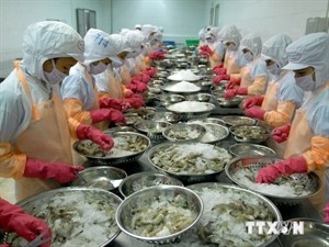 VASEP files claim against US’s anti-dumping duties on shrimp - ảnh 1