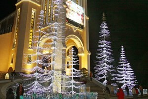 越南各地官员向当地天主教徒祝贺圣诞节 - ảnh 1