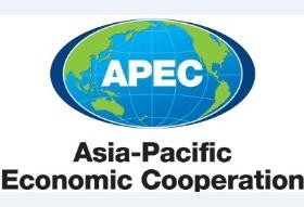 Hosting 2017 APEC Forum a priority of Vietnam’s foreign policy - ảnh 1