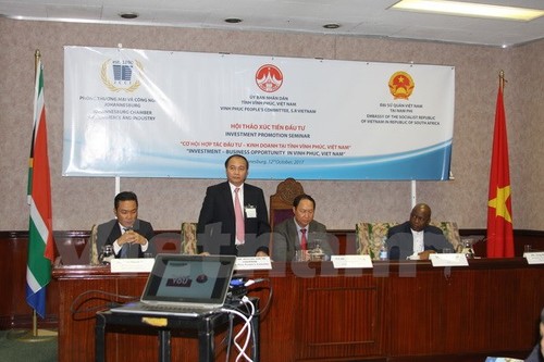 Vietnam, South Africa promote investment - ảnh 1