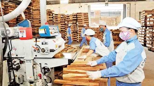 Vietnam targets 9 billion USD from wood exports in 2018 - ảnh 2
