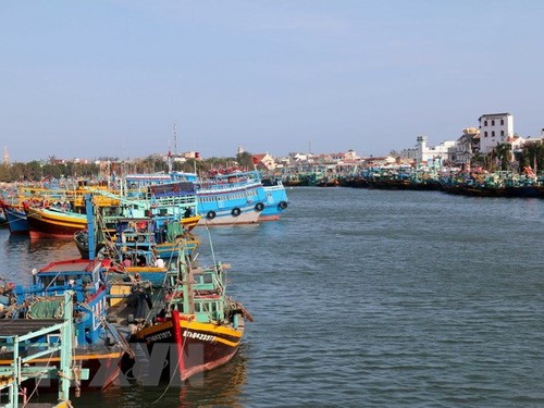 Vietnam imposes harsh punishments on illegal fishing - ảnh 1