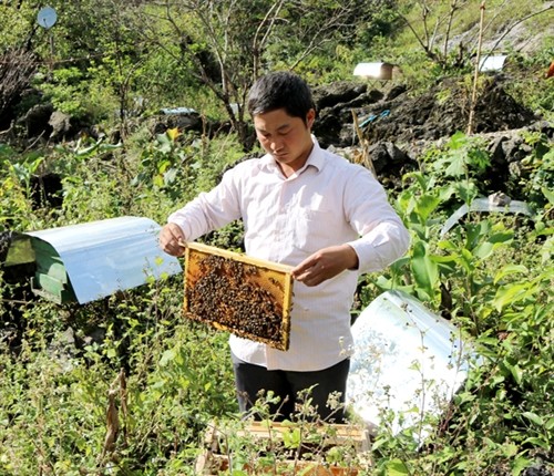Growing safe vegetables and keeping bees reduces poverty in Ha Giang  - ảnh 1