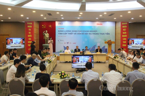 Green energy promoted to Vietnamese businesses - ảnh 1