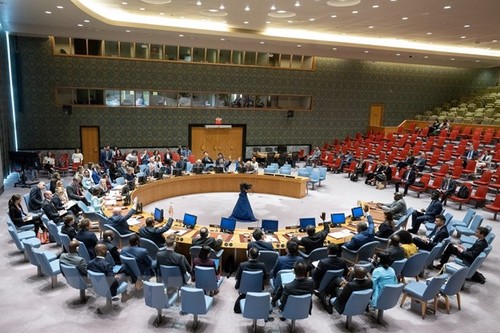 UN Security Council has 5 new non-permanent members   - ảnh 1