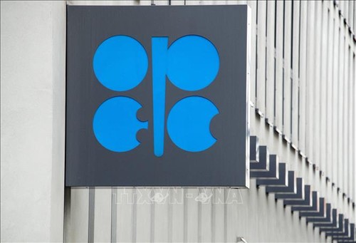OPEC forecasts the global oil demand to rise in 2024  - ảnh 1
