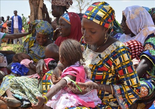 UN pledges continued humanitarian aid for Niger's people - ảnh 1