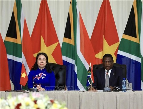 New milestone recorded in bilateral relations between Vietnam and Mozambique and South Africa  - ảnh 2