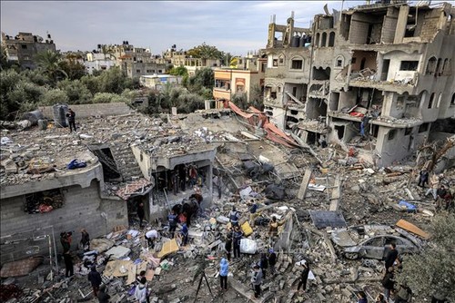 WHO warns of serious danger in Gaza  - ảnh 1