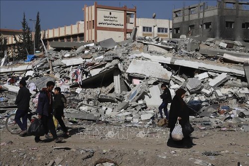 UN Security Council discusses migration in Gaza Strip - ảnh 1