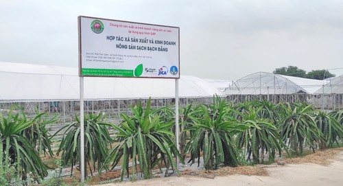 Hai Duong applies high-tech to agricultural production - ảnh 1