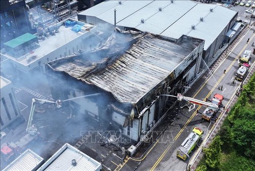 At least 20 bodies found at South Korean battery plant fire - ảnh 1