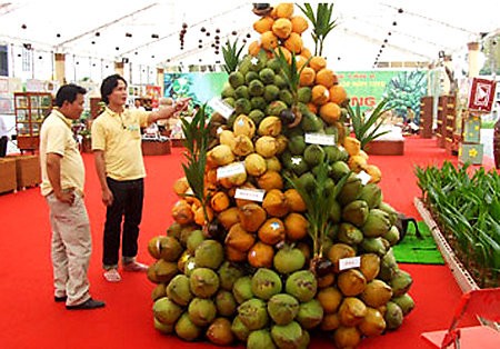 2012年槟知椰子节 - ảnh 1