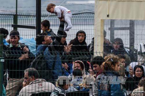 意大利担忧欧盟和土耳其实施难民交换协议将给其带来“重负” - ảnh 1
