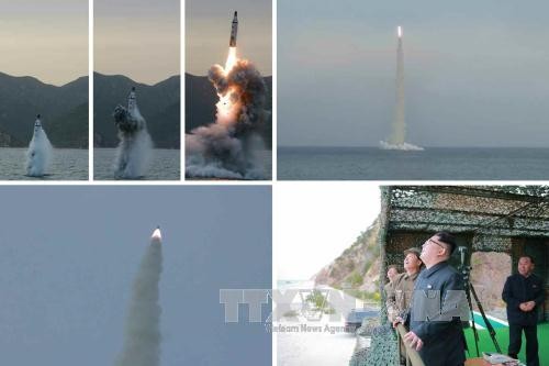 朝鲜成功试射潜射弹道导弹 - ảnh 1