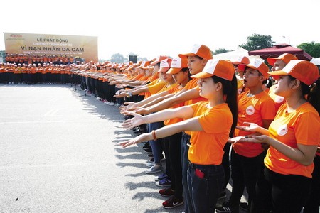 全国各地纷纷举行多项活动纪念纪念8.10越南橙剂灾难55周年 - ảnh 1