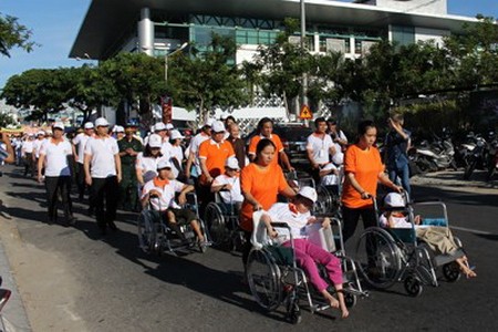 全国各地纷纷举行多项活动纪念纪念8.10越南橙剂灾难55周年 - ảnh 9