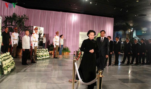 越南党政领导人和人民向菲德尔·卡斯特罗去世表示沉痛哀悼 - ảnh 10