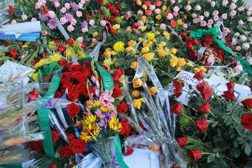越南党政领导人和人民向菲德尔·卡斯特罗去世表示沉痛哀悼 - ảnh 14