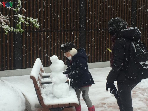 Chiêm ngưỡng vẻ đẹp của tuyết rơi giữa mùa xuân tại Nhật Bản - ảnh 9