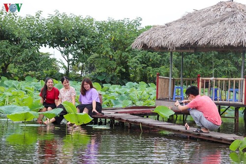 Lạc vào “khu vườn cổ tích” rực rỡ sắc hồng tường vi ở Hà Nội - ảnh 13