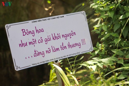 Lạc vào “khu vườn cổ tích” rực rỡ sắc hồng tường vi ở Hà Nội - ảnh 9
