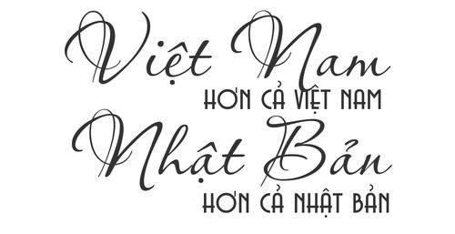 Việt Nam - Nhật Bản, giá trị cốt lõi là sự đồng điệu - ảnh 9