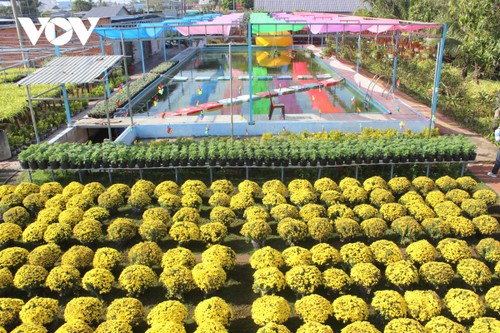 Trải nghiệm vườn quýt hồng Lai Vung và làng hoa Sa Đéc - ảnh 15