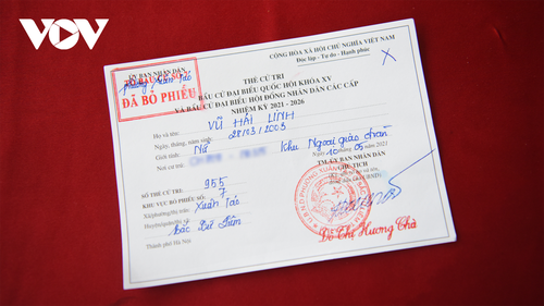 Lễ thượng cờ tại quảng trường Ba Đình và 5 triệu cử tri Hà Nội thực hiện quyền công dân - ảnh 11
