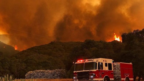 Gigantesques feux de forêt en série aux Etats-Unis et au Canada - ảnh 1