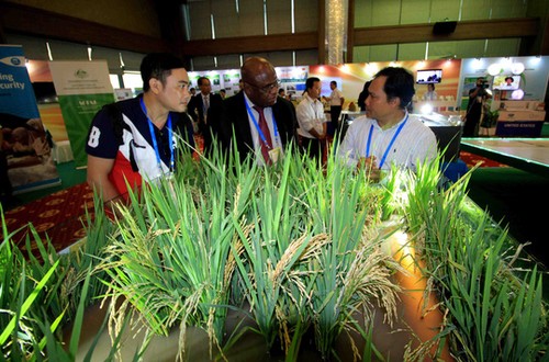 APEC 2017: Vernissage d’une exposition sur l’agriculture - ảnh 1