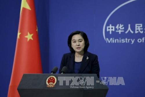 L'ASEAN et la Chine discutent de la mise en œuvre de la DOC - ảnh 1