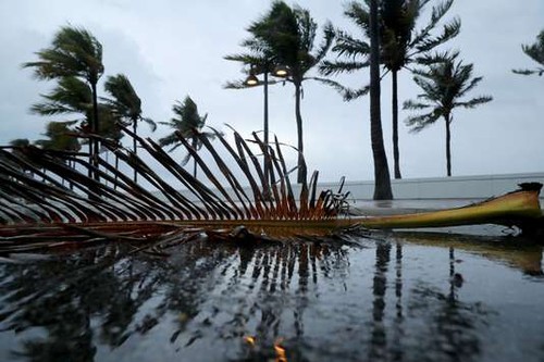 Ouragan Irma: l’état de catastrophe naturelle déclaré en Floride - ảnh 1