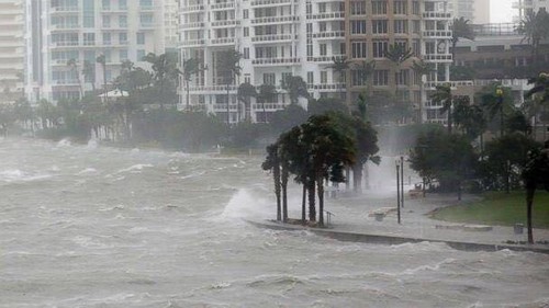 Ouragan Irma: Trump déclare l'état de catastrophe naturelle - ảnh 1