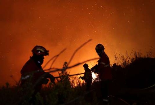 Incendies au Portugal et en Espagne: le bilan s’alourdit à 45 morts - ảnh 1