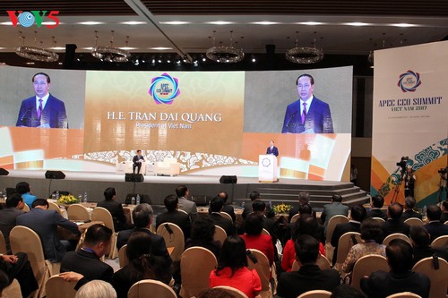 Tran Dai Quang à l’inauguration du Sommet des dirigeants d’entreprises de l’APEC 2017 - ảnh 1
