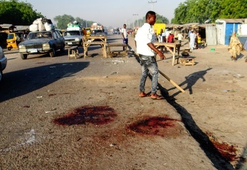 Nord-est du Nigeria: au moins 50 morts dans un attentat-suicide - ảnh 1