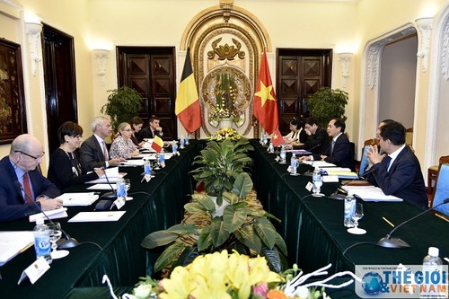 Consultation politique Vietnam-Belgique - ảnh 1