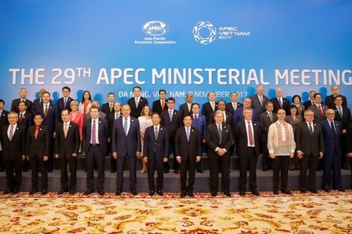 L’année de l’APEC 2017 donne un nouvel élan au développement national - ảnh 1
