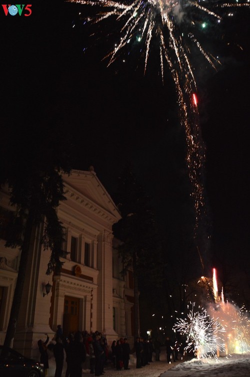 L’ambassade du Vietnam en Russie fête le Nouvel an lunaire - ảnh 2