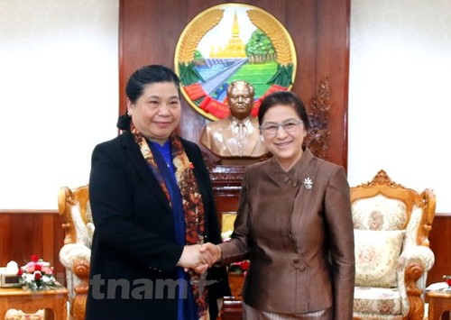 Dynamiser la coopération entre les organes législatifs vietnamiens et laotiens - ảnh 1