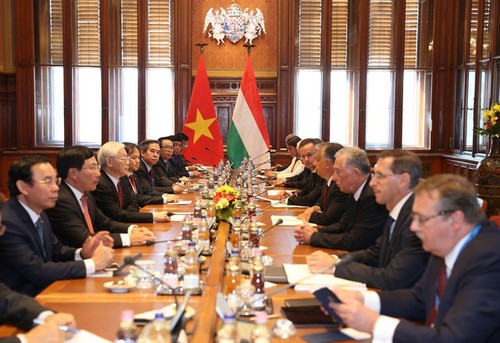 Déclaration commune Vietnam-Hongrie sur l’établissement du Partenariat intégral - ảnh 1