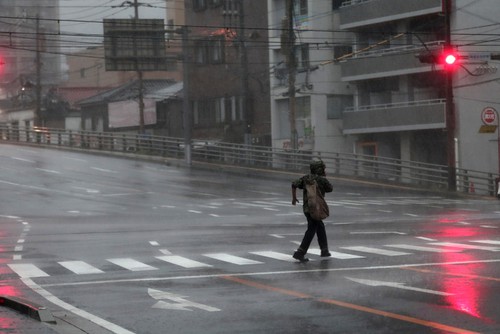 Le cœur du Japon balayé par le typhon Trami - ảnh 1
