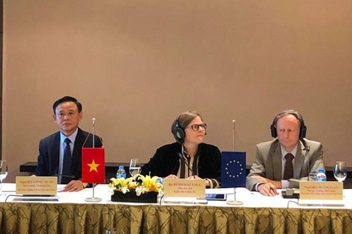 Vietnam-UE: Pour la ratification d’un accord sur la lutte contre l’exploitation illégale du bois - ảnh 1