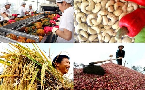 Vietnam : vers une exportation durable de produits agricoles - ảnh 1
