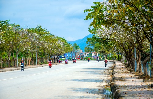 La province de Diên Biên est prête pour la fête des fleurs de bauhinie - ảnh 1