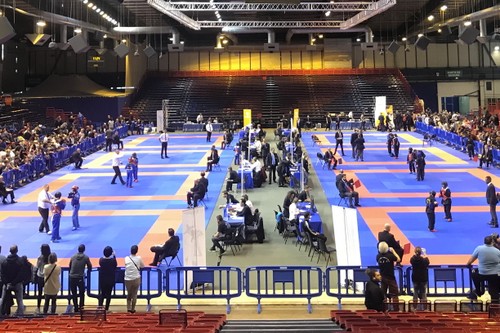 Deux championnats d’arts martiaux du Vietnam organisés en France - ảnh 1