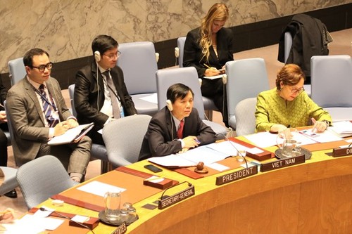 ONU : le Vietnam préside une séance sur la paix en Afrique de l’Ouest  - ảnh 1