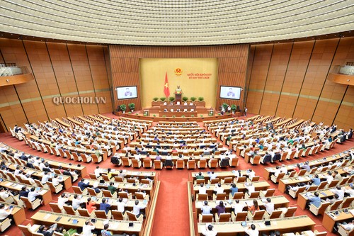 Assemblée nationale : 2e phase de la 9e session en séance plénière - ảnh 1