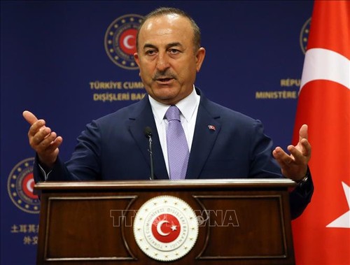 Le ministre turc des Affaires étrangères rencontre son homologue américain - ảnh 1